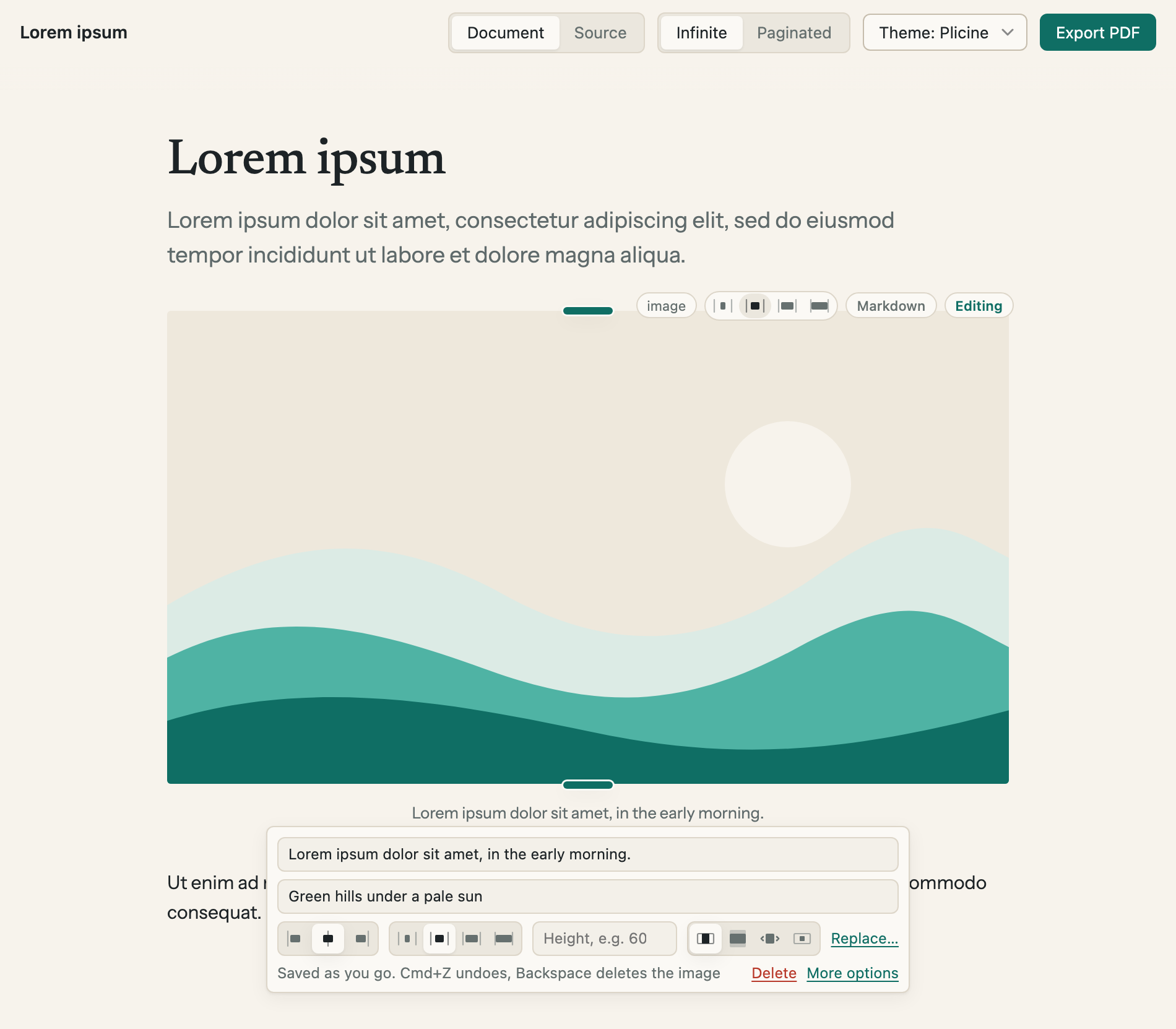 A picture on a page with its editor open under it: two text fields, then a row of small buttons, a height field and a Replace link